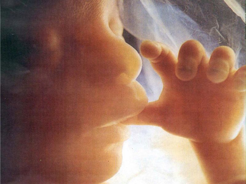 No, in Francia, all'iscrizione nello stato civile, di due bimbe nate da "madri portatrici"